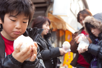 ゆうぐれ散歩の写真