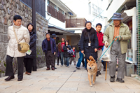 ゆうぐれ散歩の写真